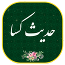 حدیث کسا - همراه قلم هوشمند(بدون اینترنت) APK