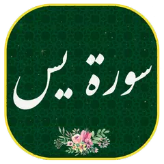 سورة یس مکتویة مع الصوت بدون نت  Yasin | مع دردشة APK download