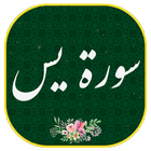 سورة یس icon