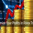 APK Forex Trading for Learners