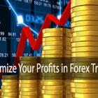 Forex Trading for Learners 圖標