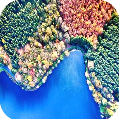 Forest Wallpaper HD APK download