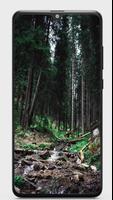 Forest Hd wallpaper capture d'écran 1