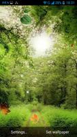 Forest Live Wallpaper скриншот 3