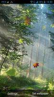 Forest Live Wallpaper постер