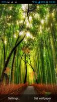 Forest Live Wallpaper скриншот 2