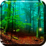 숲 라이브 배경 화면 아이콘