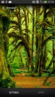 Forest Live Wallpaper اسکرین شاٹ 1