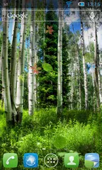 Baixar Floresta Papel de Parede APK