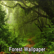 Forest Wallpaper
