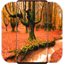 Forest Wallpaper HD APK