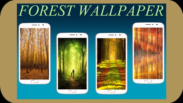 Forest Wallpaper HD 海报