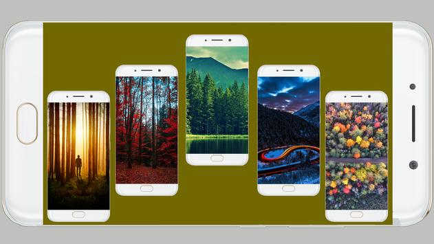 Forest Wallpaper HD 截图 1