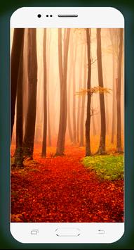 Forest Wallpaper HD 截图 3