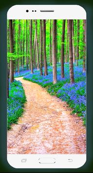 Forest Wallpaper HD 截图 4