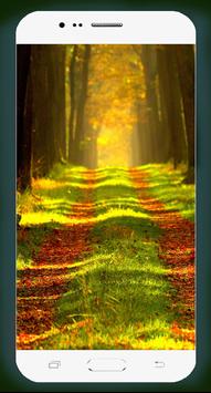 Forest Wallpaper HD 截图 5