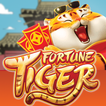 Fortune Tiger Slots