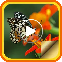 Movie Maker - Slideshow Maker APK download
