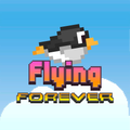 ”Flying Forever
