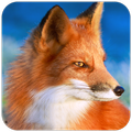 Fox Wallpaper