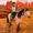 Horse Riding Tales - Wild Pony aplikacja
