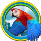 Flappy Parrot icône