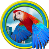Flappy Parrot 圖標