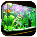 Fresh Water Aquarium Design aplikacja