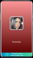 Domelipa screenshot 3