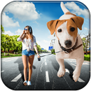 Editor Zoom Een Deel In Op De Afbeelding-APK