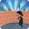 Wall Protection
