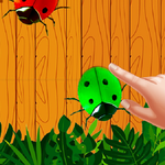 Bug Smasher: insect kill icon