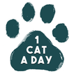 ”1 Cat a Day
