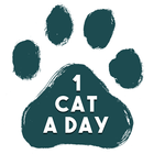 1 Cat a Day simgesi
