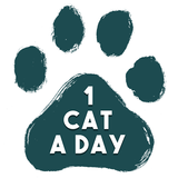 آیکون‌ 1 Cat a Day