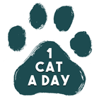 1 Cat a Day আইকন