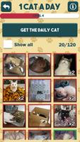 1 Cat a Day-poster