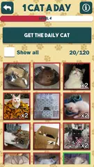 Baixar 1 Cat a Day APK