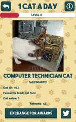 Baixar 1 Cat a Day APK