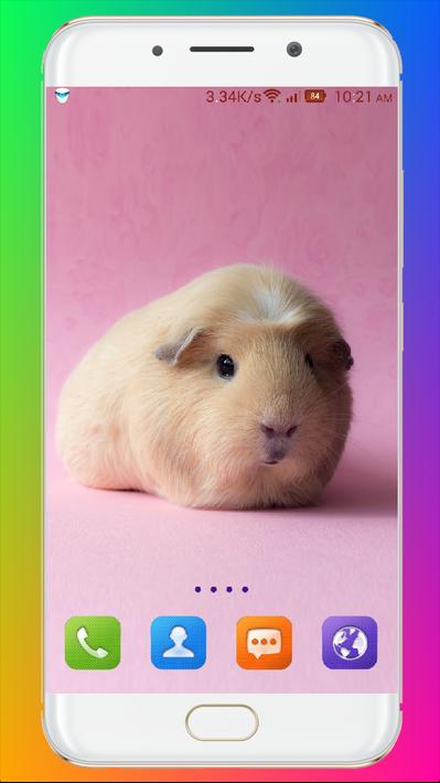 Guinea Pig Wallpaper安卓下载，安卓版APK | 免费下载