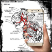 Best Wiring Harness For Car