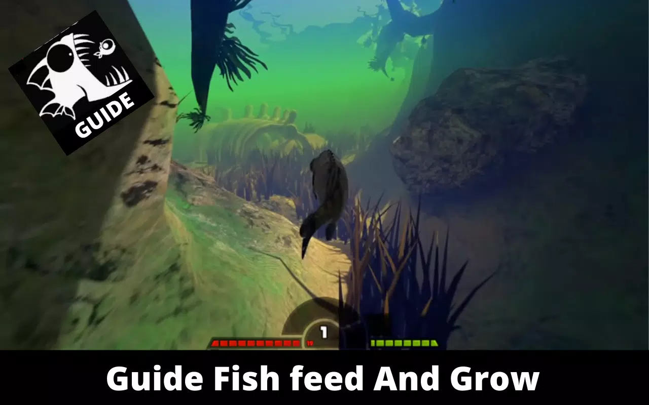 Guide, Tips,truck for Fish Feed And Grow - APK Download for Android