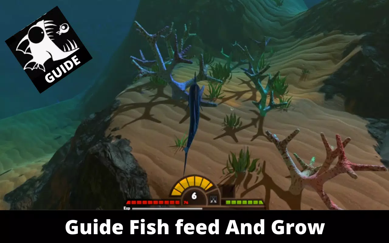 About: Walkthrough feed and grow fish (Google Play version)