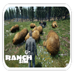 Ranch simulator game Freeguide