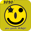 Secret guide for HAGO 2020