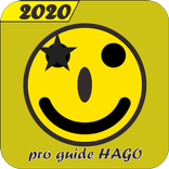 Secret guide for HAGO 2020