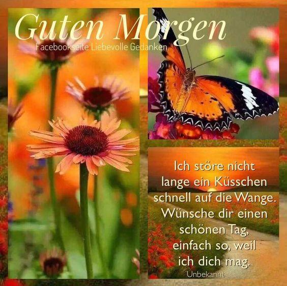 Morgen gedanken guten Guten morgen