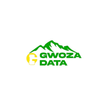 Gwoza Data icon