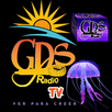 GDS Radio TV APK