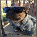 Dog Clothes Idea APK